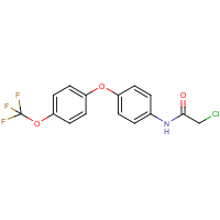 CAS:215519-07-6 | PC31104 | N-{4-[4-(Trifluoromethoxy)phenoxy]phenyl}-2-chloroacetamide
