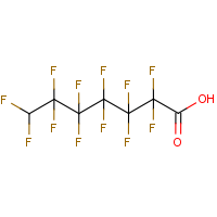 CAS: 1546-95-8 | PC3131 | 7H-Perfluoroheptanoic acid