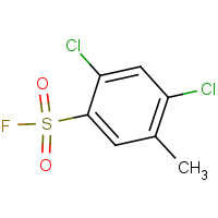 CAS: 284664-77-3 | PC31967 | 2,4-dichloro-5-methylbenzene-1-sulphonyl fluoride