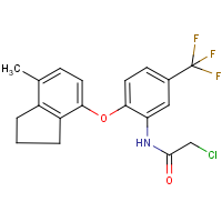 CAS:303010-43-7 | PC32119 | 2-chloro-N-[2-[(7-methyl-2,3-dihydro-1H-inden-4-yl)oxy]-5-(trifluoromethyl)phenyl]acetamide