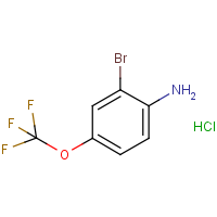CAS: 256529-33-6 | PC32385 | 2-bromo-4-(trifluoromethoxy)aniline hydrochloride