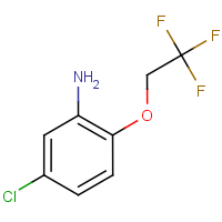 CAS: 186387-91-7 | PC3318 | 5-Chloro-2-(2,2,2-trifluoroethoxy)aniline