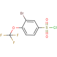 CAS: 883146-06-3 | PC37867 | 3-Bromo-4-(trifluoromethoxy)benzene-1-sulfonyl chloride