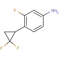 CAS:2231676-67-6 | PC400063 | 3-Fluoro-4-(2,2-difluorocyclopropyl)benzenamine