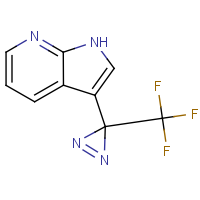 CAS:2231673-06-4 | PC400085 | 3-(3-(Trifluoromethyl)-3H-diazirin-3-yl)-1H-pyrrolo[2,3-b]pyridine