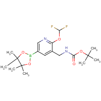 CAS:2559710-47-1 | PC400103 | tert-Butyl (2-(difluoromethoxy)-5-(4,4,5,5-tetramethyl-1,3,2-dioxaborolan-2-yl)pyridin-3-yl)methylcarbamate