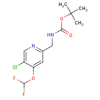 CAS:2231675-32-2 | PC400125 | tert-Butyl (5-chloro-4-(difluoromethoxy)pyridin-2-yl)methylcarbamate