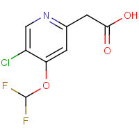 CAS:1804408-86-3 | PC400133 | 2-(5-Chloro-4-(difluoromethoxy)pyridin-2-yl)acetic acid