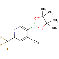 CAS:1612287-99-6 | PC400181 | 2-(Trifluoromethyl)-4-methyl-5-(4,4,5,5-tetramethyl-1,3,2-dioxaborolan-2-yl)pyridine