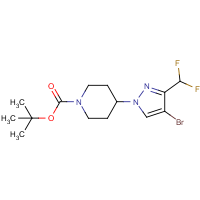 CAS:1449117-47-8 | PC400543 | tert-Butyl 4-(4-bromo-3-(difluoromethyl)-1H-pyrazol-1-yl)piperidine-1-carboxylate