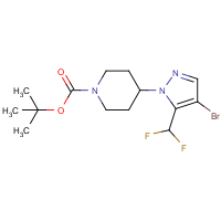 CAS:1449117-77-4 | PC400573 | tert-Butyl 4-(4-bromo-5-(difluoromethyl)-1H-pyrazol-1-yl)piperidine-1-carboxylate