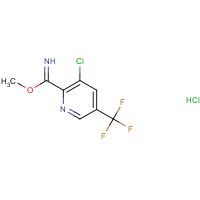 CAS: 1672675-24-9 | PC401060 | Methyl 3-chloro-5-(trifluoromethyl)pyridine-2-carboximidate hydrochloride