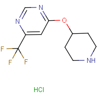 CAS: 1389313-34-1 | PC403117 | 4-(Piperidin-4-yloxy)-6-(trifluoromethyl)pyrimidine hydrochloride