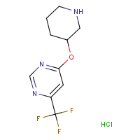 CAS: 1779128-43-6 | PC403189 | 4-(Piperidin-3-yloxy)-6-(trifluoromethyl)pyrimidine hydrochloride