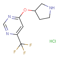 CAS:1779128-39-0 | PC403203 | 4-(Pyrrolidin-3-yloxy)-6-(trifluoromethyl)pyrimidine hydrochloride