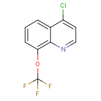 CAS: 40516-42-5 | PC407052 | 4-Chloro-8-trifluoromethoxyquinoline