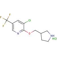 CAS: 1417794-08-1 | PC408392 | 3-Chloro-2-(pyrrolidin-3-ylmethoxy)-5-trifluoromethyl-pyridine hydrochloride