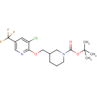 CAS: 1417793-54-4 | PC408404 | 3-(3-Chloro-5-trifluoromethyl-pyridin-2-yloxymethyl)-piperidine-1-carboxylic acid tert-butyl ester