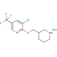 CAS: 1417793-17-9 | PC408405 | 3-Chloro-2-(piperidin-3-ylmethoxy)-5-trifluoromethyl-pyridine hydrochloride