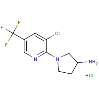 CAS: 1420993-35-6 | PC408412 | 1-(3-Chloro-5-trifluoromethyl-pyridin-2-yl)-pyrrolidin-3-ylamine hydrochloride