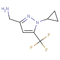 CAS: | PC408445 | 3-(Aminomethyl)-1-(cyclopropyl)-5-(trifluoromethyl)-1H-pyrazole