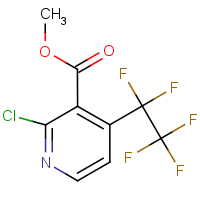 CAS: 1580464-71-6 | PC408821 | Methyl 2-chloro-4-(pentafluoroethyl)nicotinate