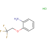 CAS: 62149-83-1 | PC410081 | 2-(2,2,2-Trifluoroethoxy)aniline hydrochloride