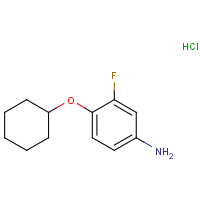 CAS: 1197234-19-7 | PC410116 | 4-(Cyclohexyloxy)-3-fluoroaniline hydrochloride