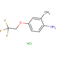 CAS: 1431962-93-4 | PC411321 | 2-Methyl-4-(2,2,2-trifluoroethoxy)aniline hydrochloride