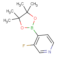 CAS:458532-88-2 | PC412004 | 3-Fluoropyridine-4-boronic acid, pinacol ester