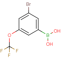CAS: 1072951-48-4 | PC412041 | 3-Bromo-5-(trifluoromethoxy)phenylboronic acid