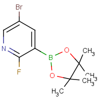 CAS: 1073353-50-0 | PC412050 | 5-Bromo-2-fluoropyridine-3-boronic acid, pinacol ester