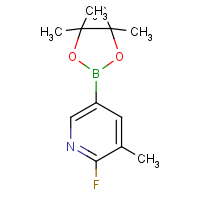 CAS:1150561-71-9 | PC412055 | 2-Fluoro-3-methylpyridine-5-boronic acid, pinacol ester