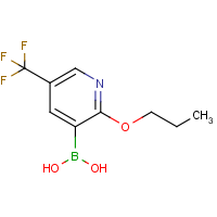 CAS:1218790-63-6 | PC412165 | 2-Propoxy-5-(trifluoromethyl)pyridine-3-boronic acid