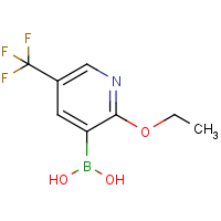 CAS: 1218790-66-9 | PC412186 | 2-Ethoxy-5-(trifluoromethyl)pyridine-3-boronic acid