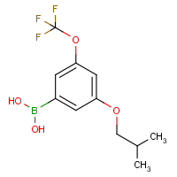 CAS: 1256346-03-8 | PC412196 | 3-Isobutoxy-5-(trifluoromethoxy)phenylboronic acid