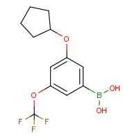 CAS: 1256346-04-9 | PC412197 | 3-(Cyclopentyloxy)-5-(trifluoromethoxy)phenylboronic acid