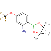 CAS:1256359-27-9 | PC412225 | 2-Amino-4-trifluoromethoxyphenylboronic acid, pinacol ester