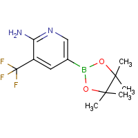 CAS:947249-01-6 | PC412228 | 2-Amino-3-(trifluoromethyl)pyridine-5-boronic acid, pinacol ester