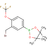 CAS:1073354-06-9 | PC412259 | (3-Bromomethyl-4-trifluoromethoxyphenylboronic acid, pinacol ester
