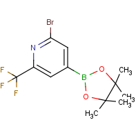 CAS:1256360-49-2 | PC412263 | 2-Bromo-6-trifluoromethylpyridine-4-boronic acid, pinacol ester