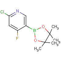 CAS:1256359-04-2 | PC412313 | 2-Chloro-4-fluoropyridine-5-boronic acid, pinacol ester