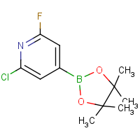 CAS:1146615-89-5 | PC412315 | 2-Chloro-6-fluoropyridine-4-boronic acid, pinacol ester