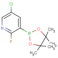 CAS:937595-72-7 | PC412318 | 5-Chloro-2-fluoropyridine-3-boronic acid, pinacol ester