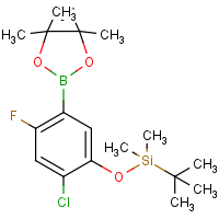 CAS:1150561-59-3 | PC412319 | 4-Chloro-2-fluoro-5-(TBDMSO)phenylboronic acid, pinacol ester