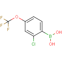 CAS: 345226-20-2 | PC412323 | 2-Chloro-4-trifluoromethoxyphenylboronic acid