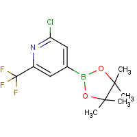 CAS: 1218790-05-6 | PC412332 | 2-Chloro-6-(trifluoromethyl)pyridine-4-boronic acid, pinacol ester