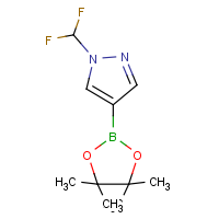 CAS: 1206640-82-5 | PC412371 | 1-(Difluoromethyl)-4-(4,4,5,5-tetramethyl-1,3,2-dioxaborolan-2-yl)-1H-pyrazole