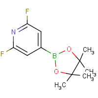 CAS:1204333-58-3 | PC412384 | 2,6-Difluoropyridine-4-boronic acid, pinacol ester