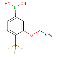 CAS:1026796-35-9 | PC412397 | 3-Ethoxy-4-(trifluoromethyl)phenylboronic acid